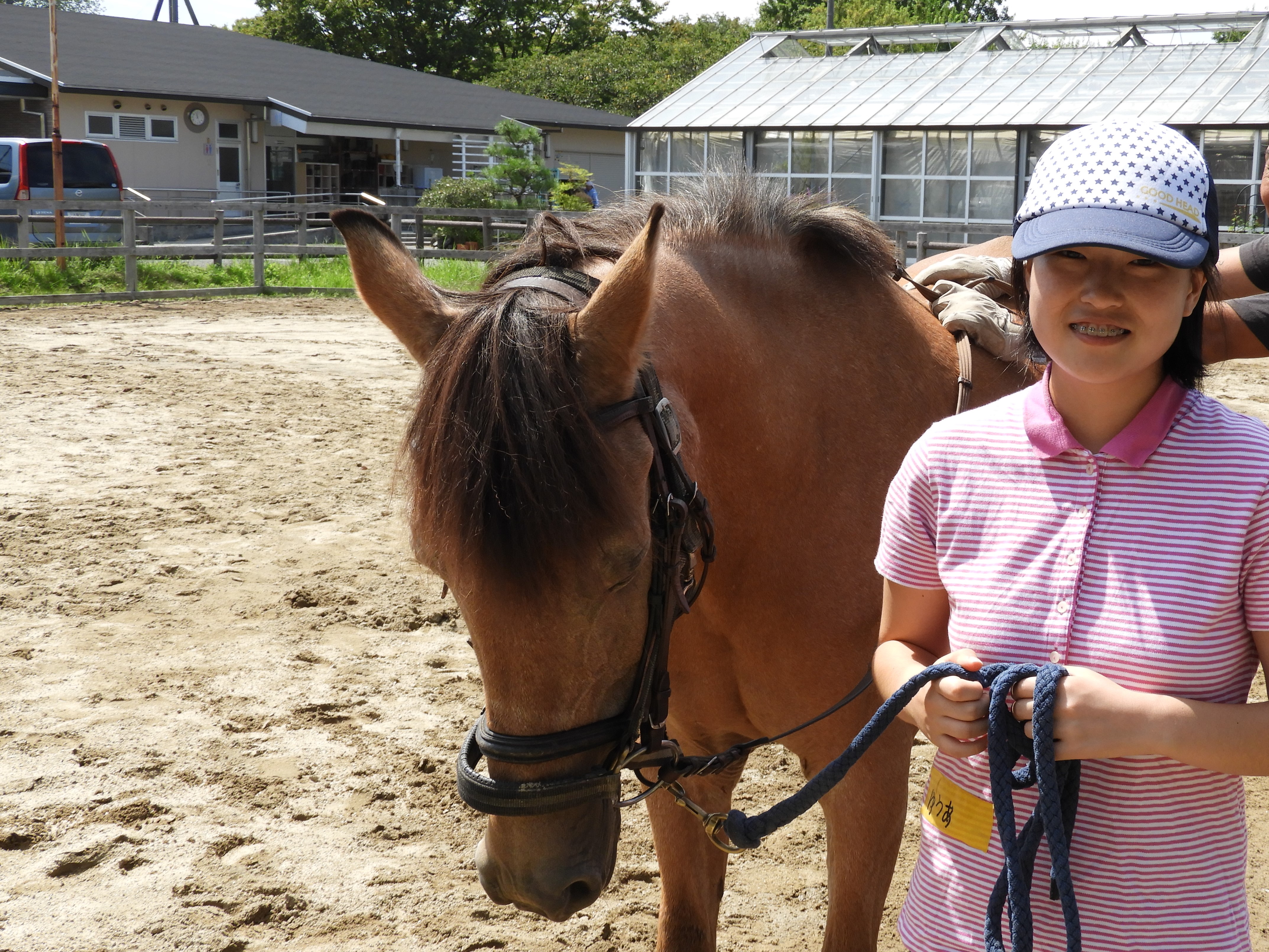 乗馬プログラムを実施 大阪ymca国際専門学校 表現 コミュニケーション学科