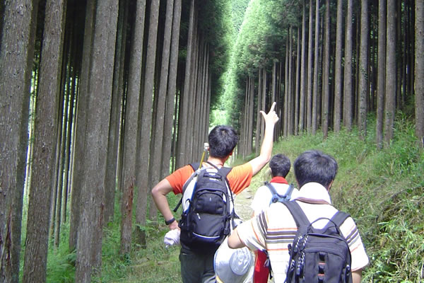 山登り写真