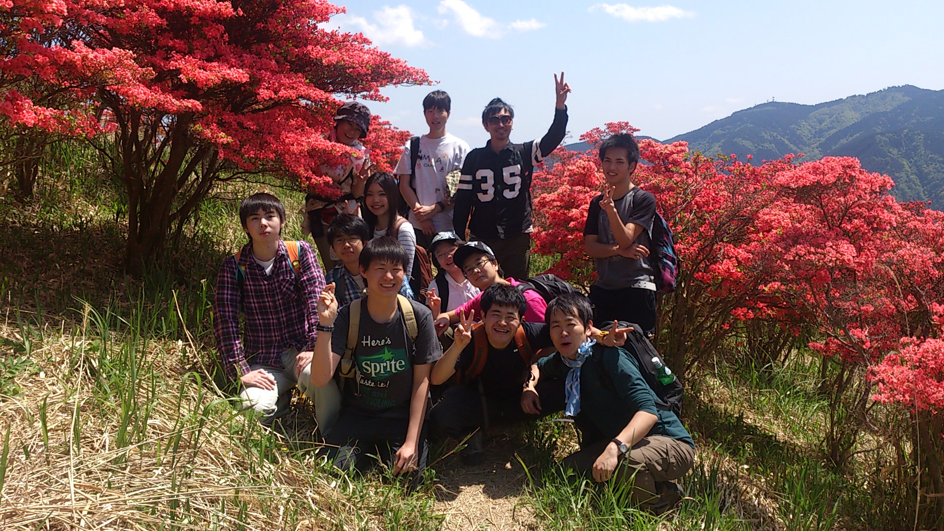 5月の山歩き　つつじ満開葛城山