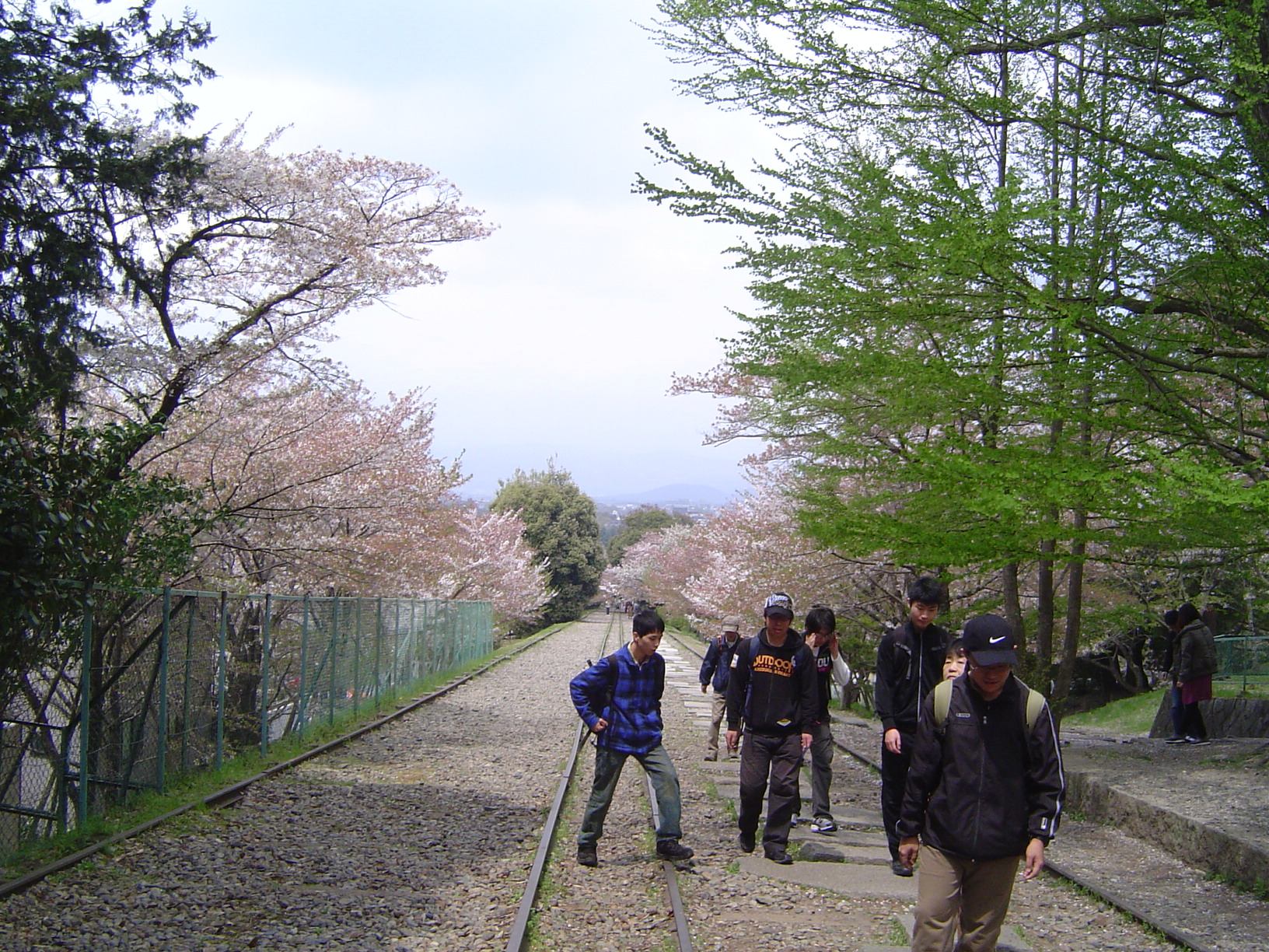 ４月　山歩き同好会