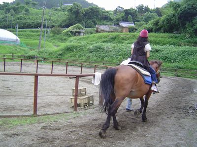 馬と遊びました