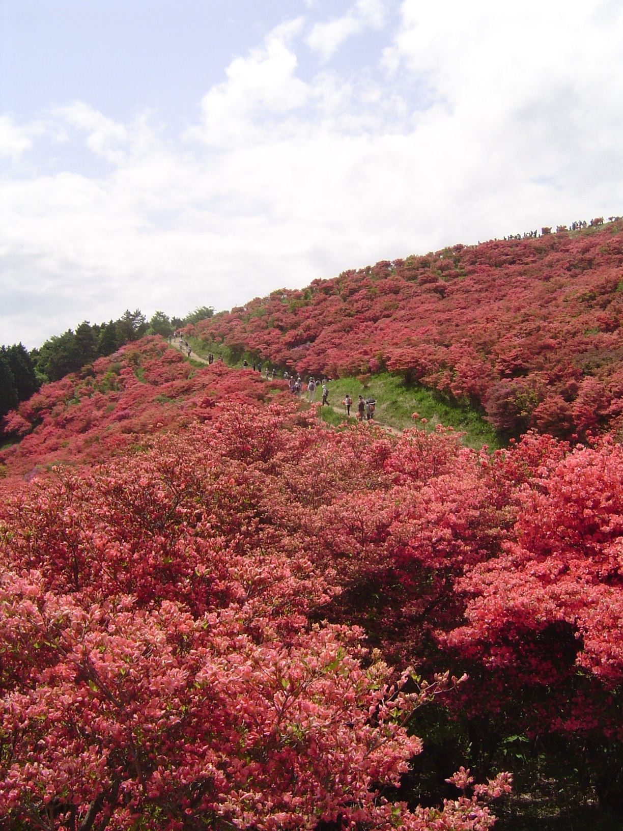 5月　山歩き同好会