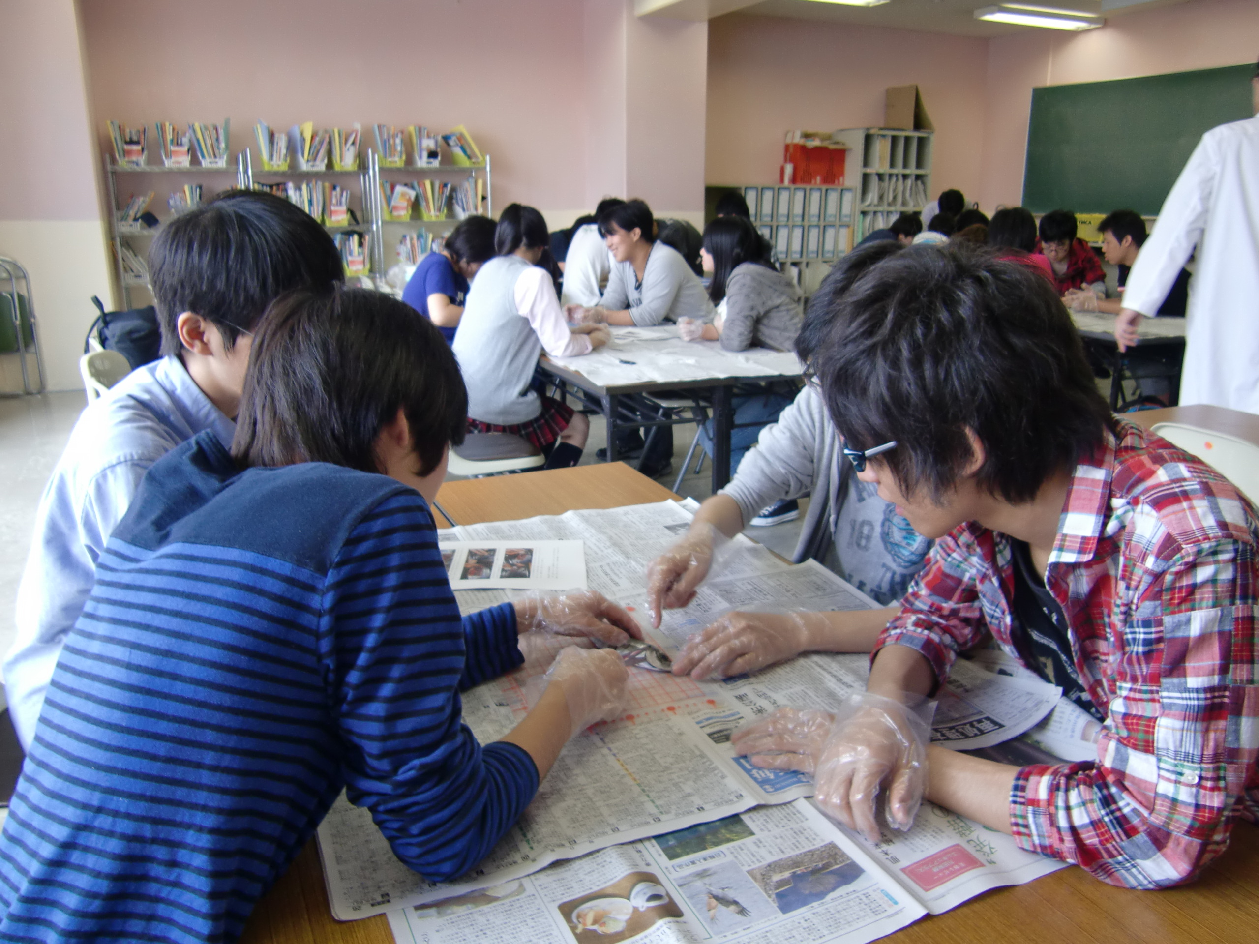 選択授業　生命と科学～アジの解剖～