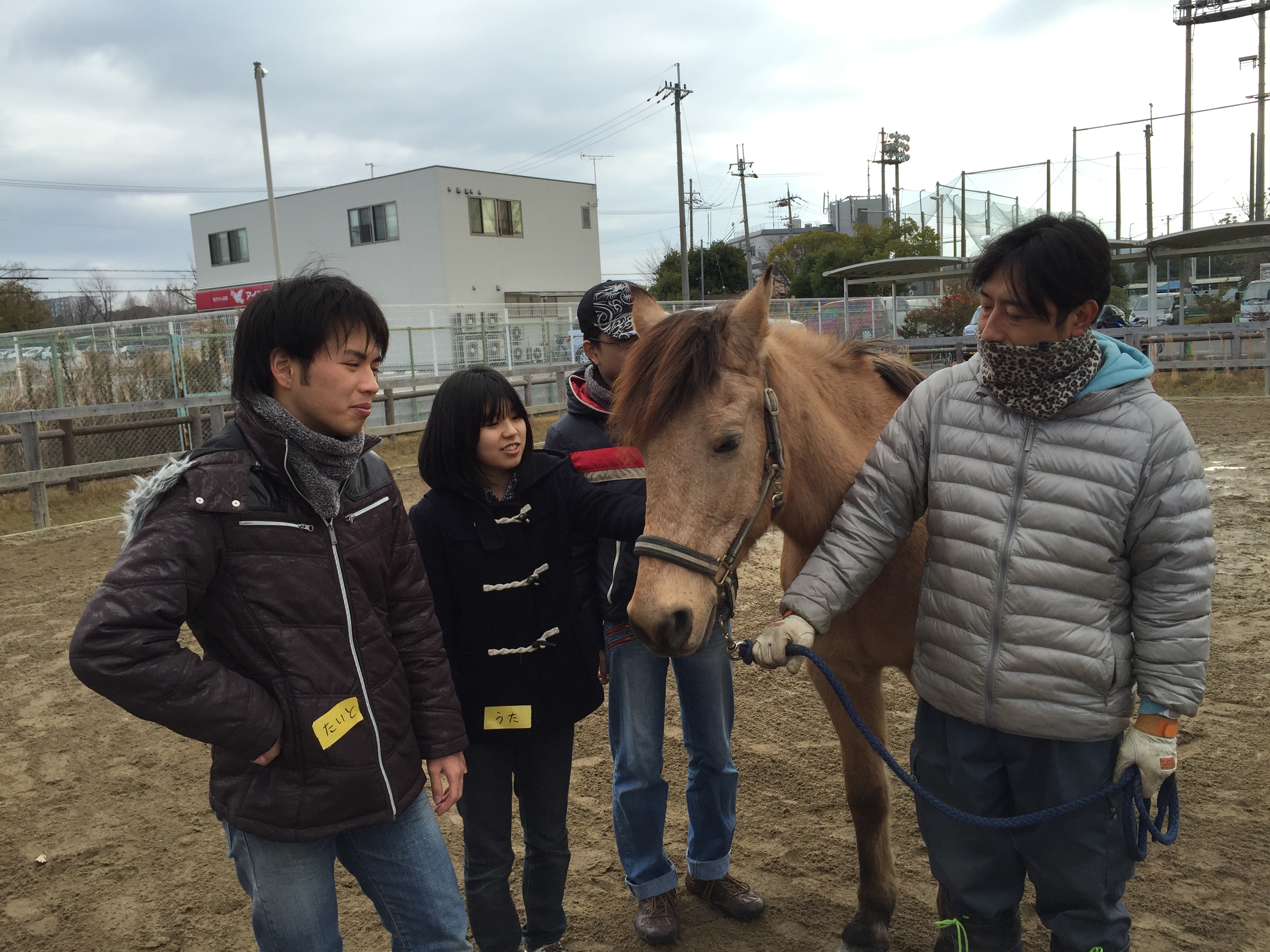 馬とあそぼう定期プログラム