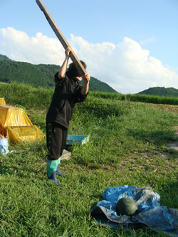 農業10-7.JPG