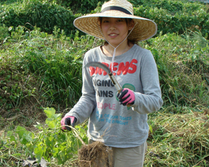 11agri02.JPG