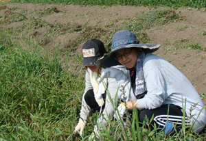 11agri04.JPG