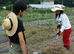 11agri05.JPG