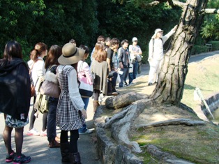 11nara05.JPG