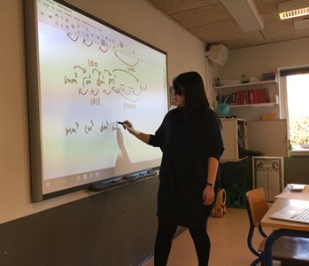 2016.02 Denmark Tomomi teaching Math.jpeg