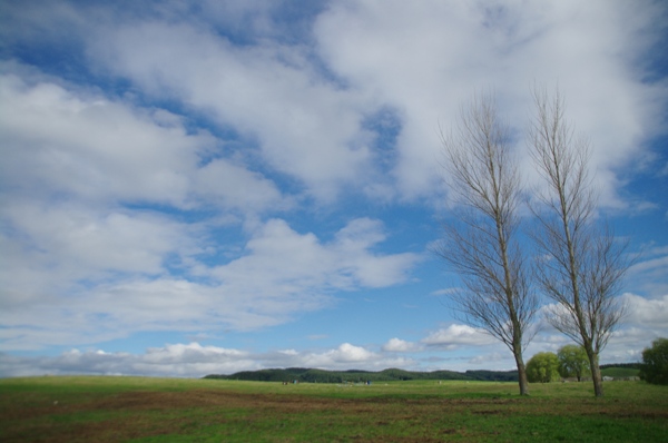 IMGP3265.JPG