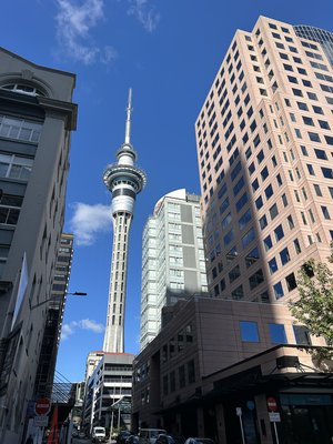 IMG_6803.jpeg