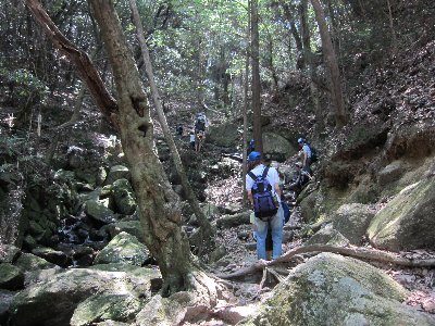 登山１