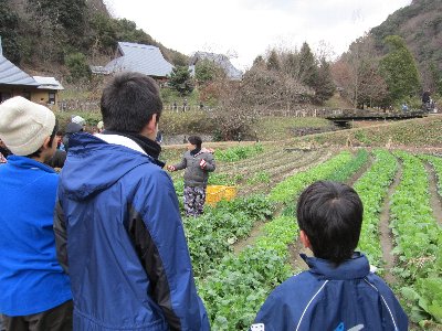 大根貫