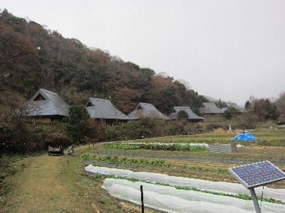 わいわい村