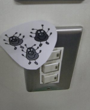 かびるんるん.JPG