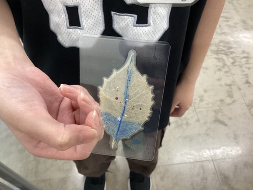 のぞみ7月11.jpg