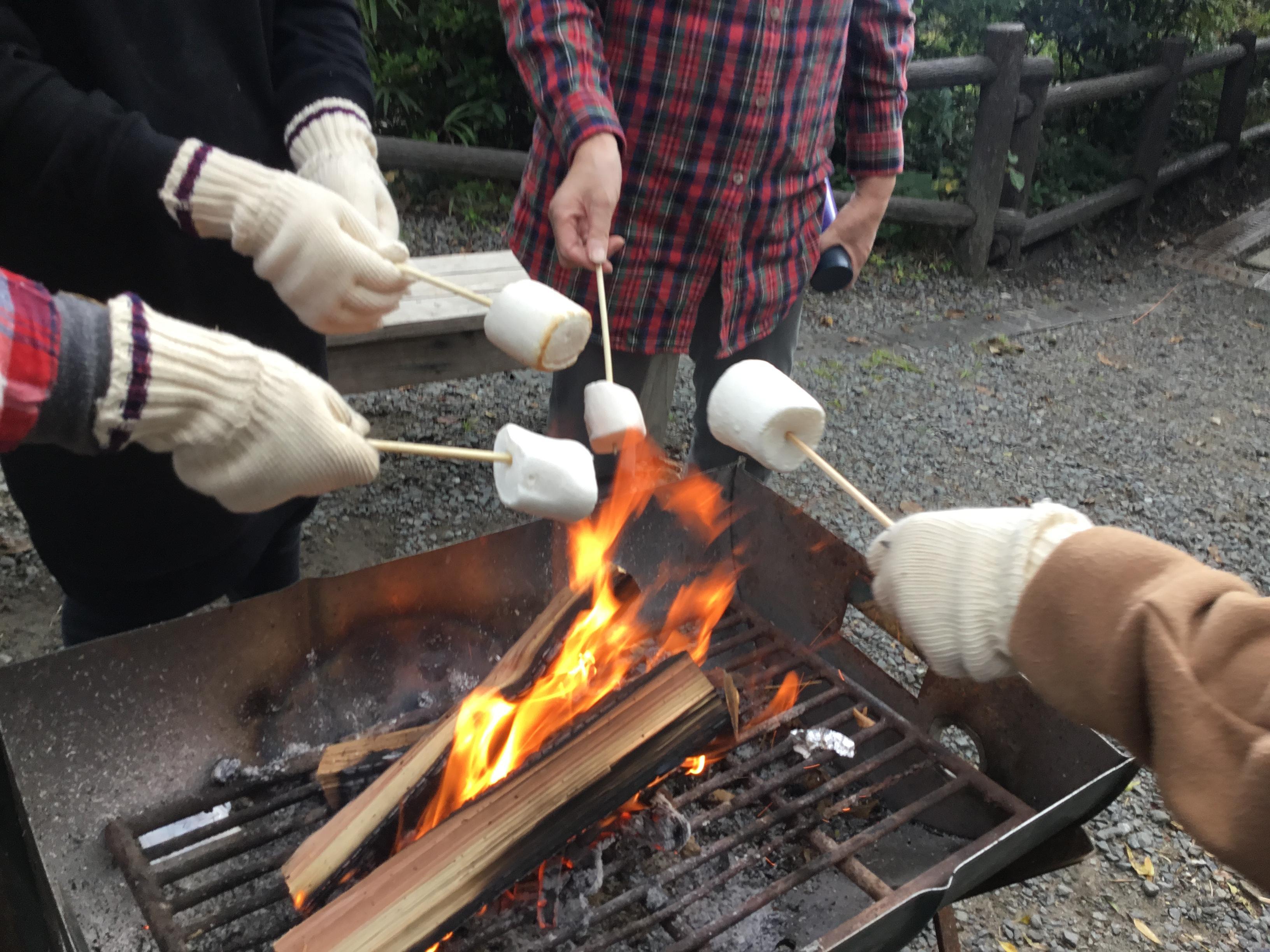 サタデークラブのぞみ11月例会