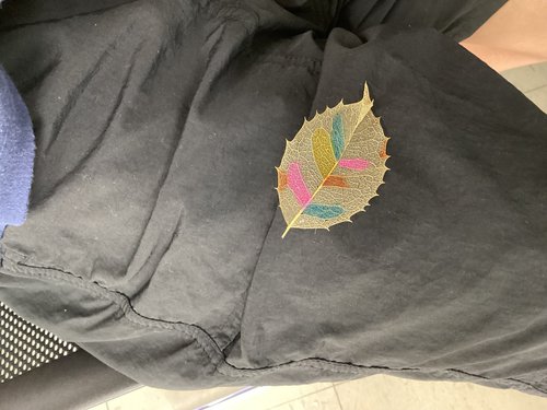 のぞみ7月9.jpg