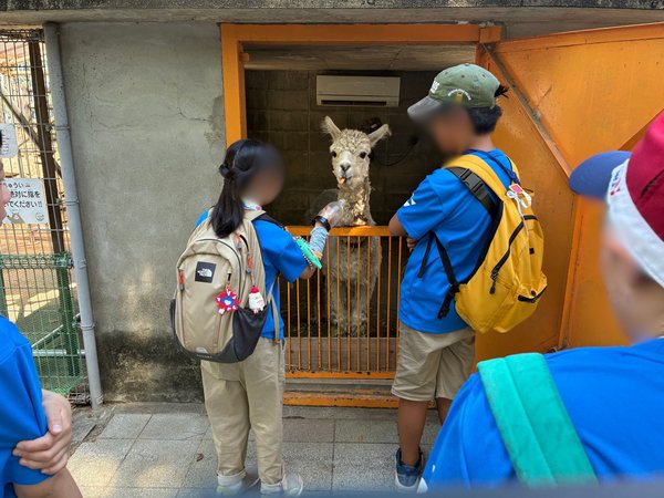 ブログ㉒動物園エサやり体験 修正.jpg